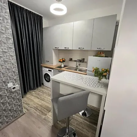 公寓 Central Studio *