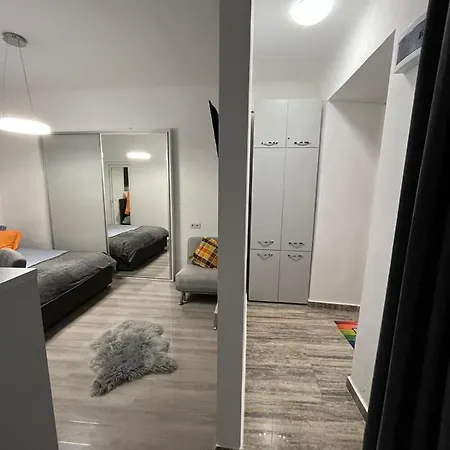 Central Studio 公寓 布拉索夫