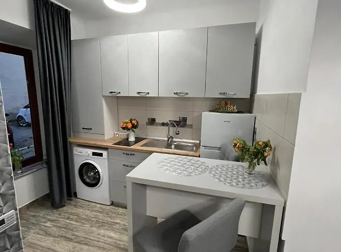 Central Studio Lejlighed *