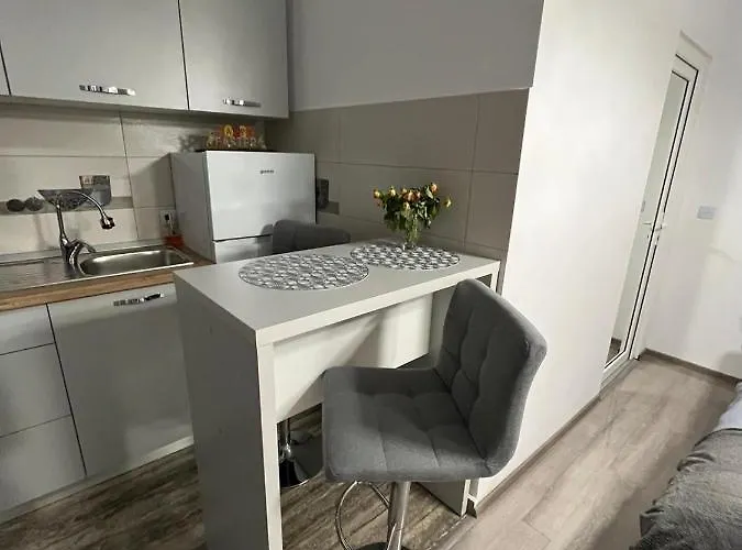 Central Studio Lejlighed Braşov