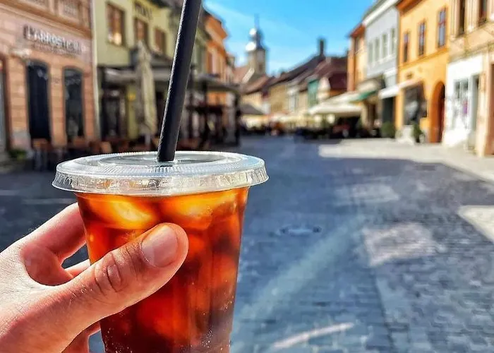 Central Studio Lejlighed *